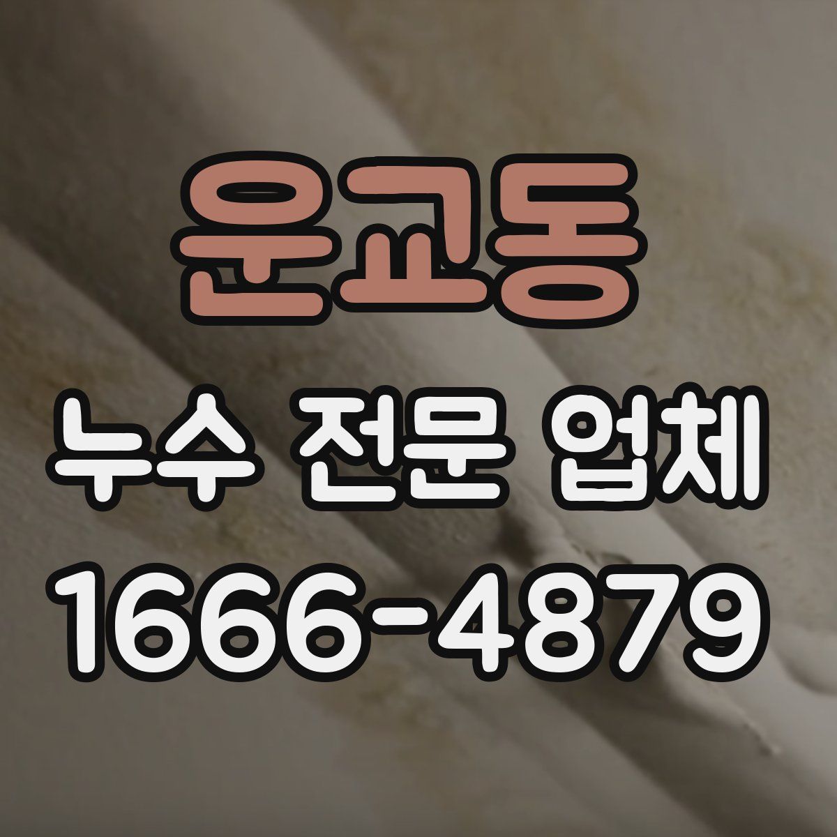 운교동 누수 전문 업체