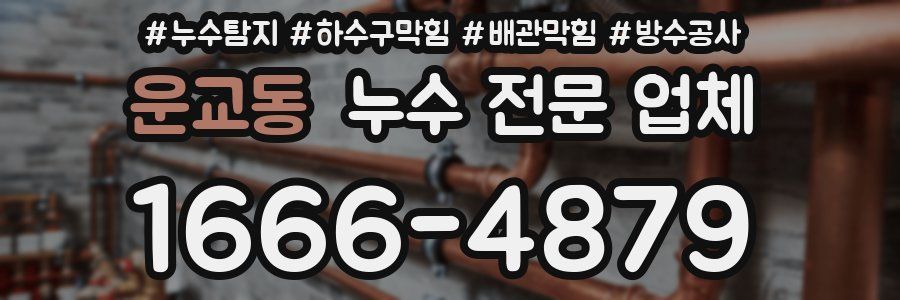 운교동 누수 전문 업체