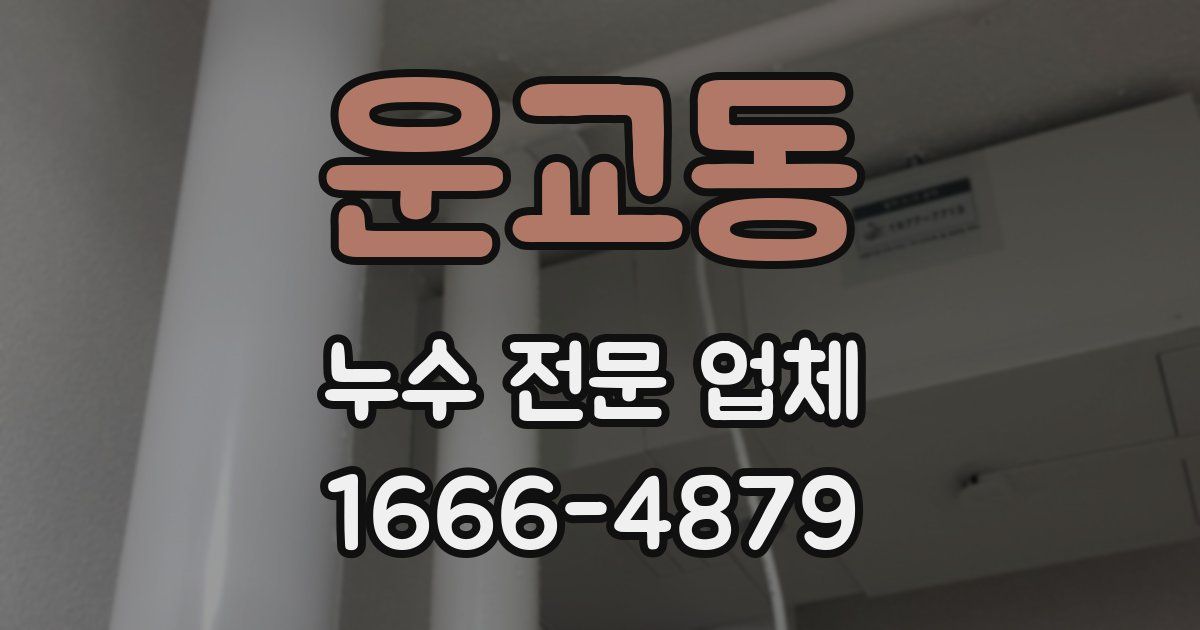운교동 누수 전문 업체