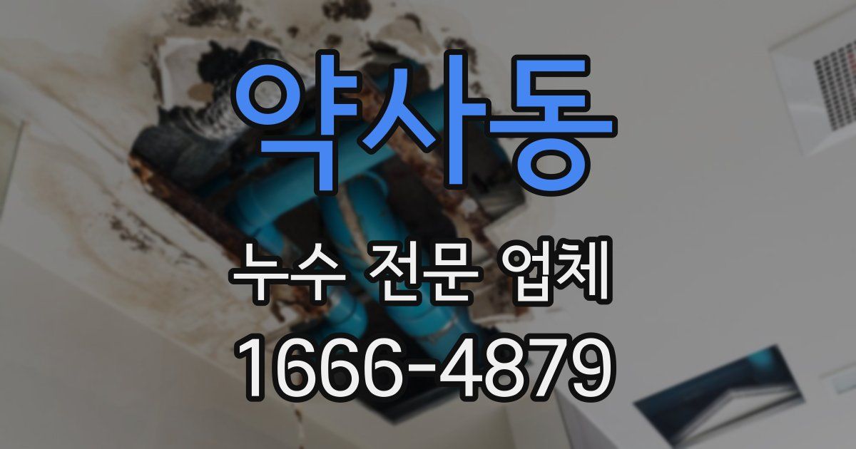 약사동 누수 전문 업체