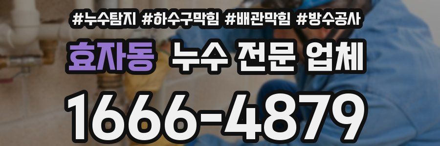 효자동 누수 전문 업체