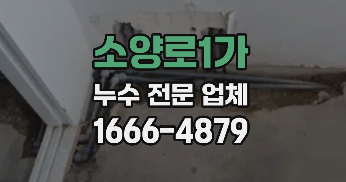 소양로1가 누수 전문 업체
