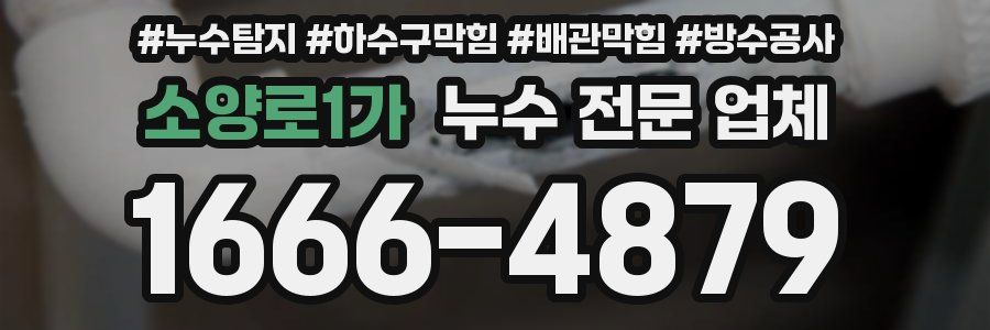 소양로1가 누수 전문 업체