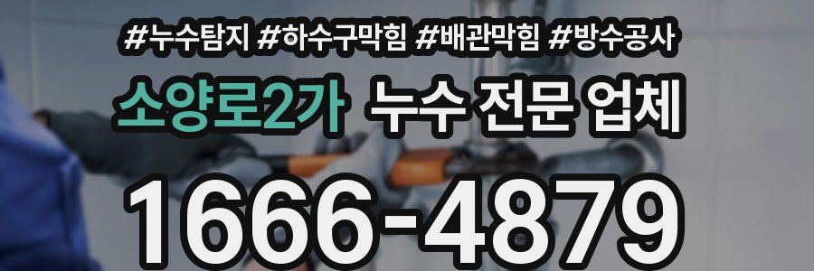 소양로2가 누수 전문 업체