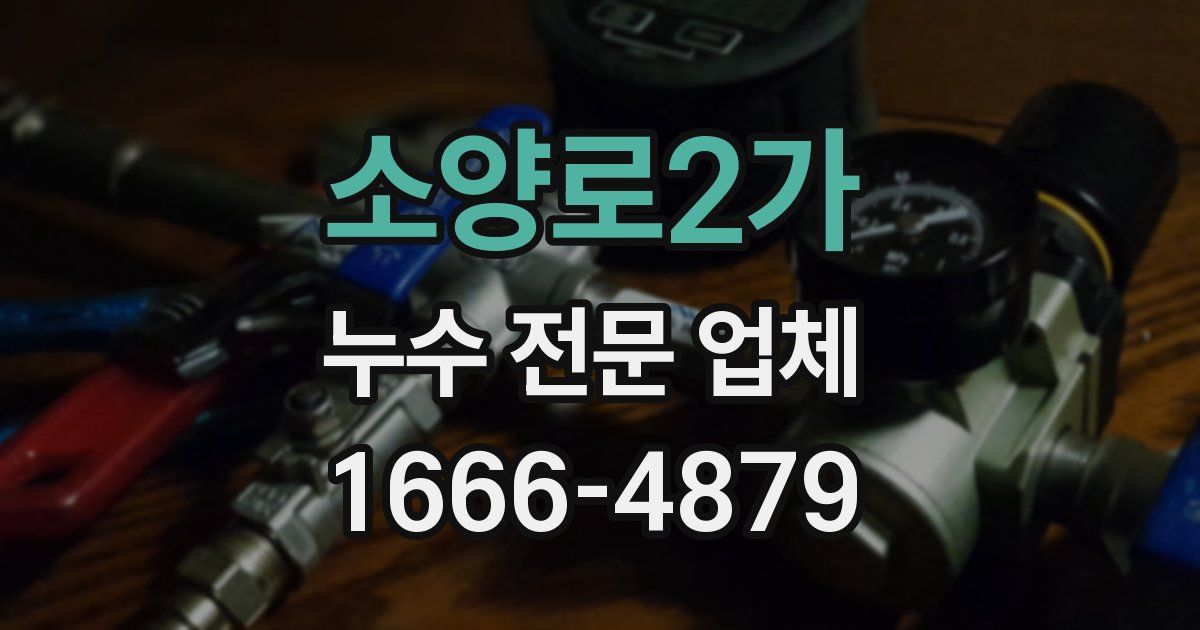 소양로2가 누수 전문 업체