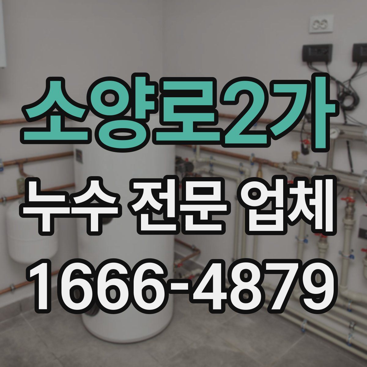 소양로2가 누수 전문 업체