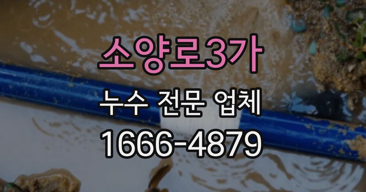 소양로3가 누수 전문 업체