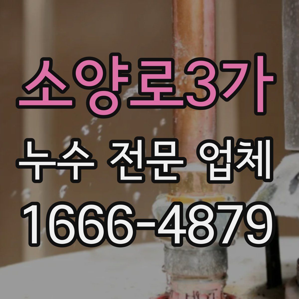 소양로3가 누수 전문 업체