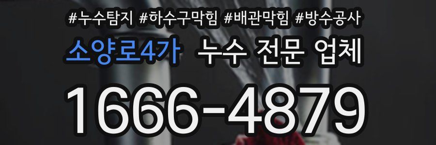 소양로4가 누수 전문 업체