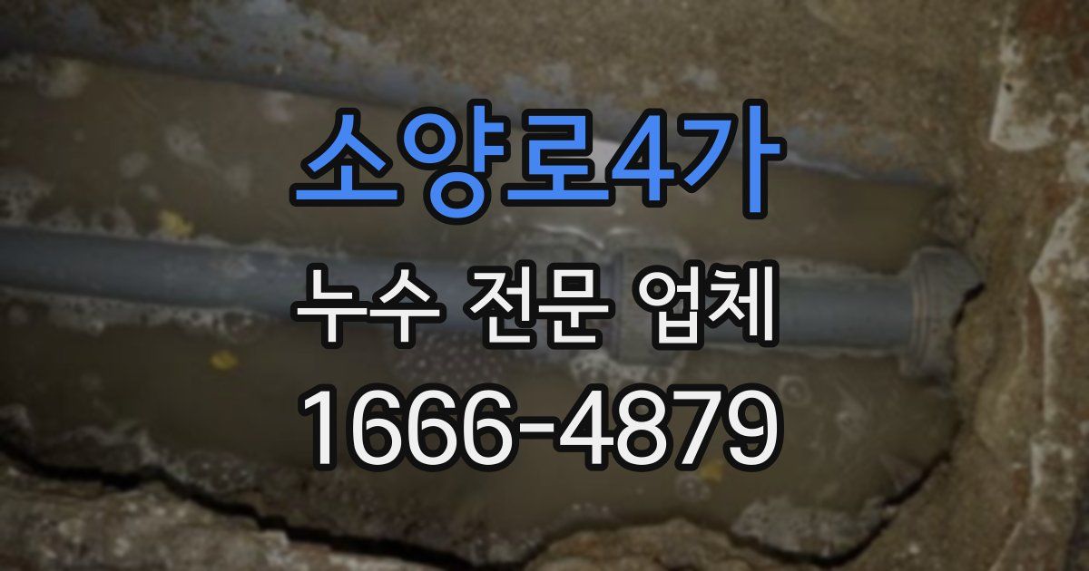 소양로4가 누수 전문 업체