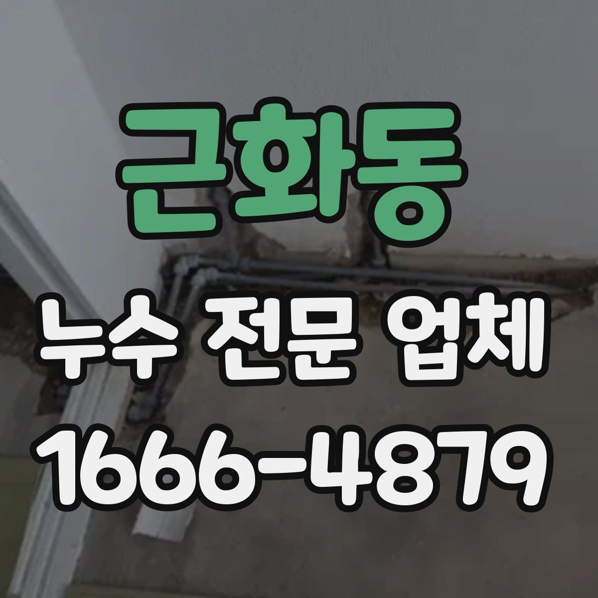 근화동 누수 전문 업체