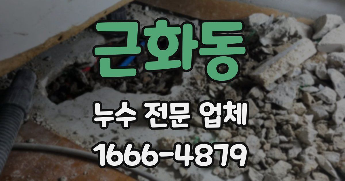 근화동 누수 전문 업체