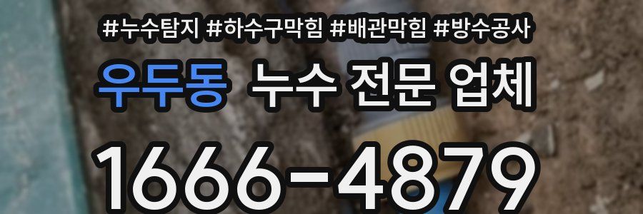 우두동 누수 전문 업체