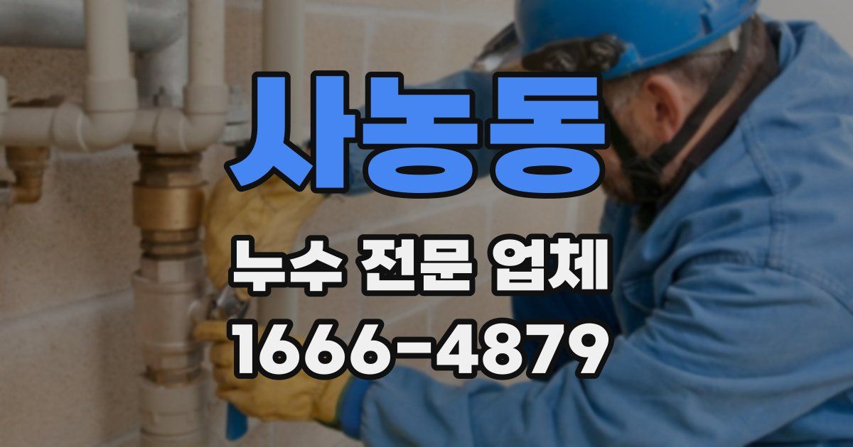 사농동 누수 전문 업체