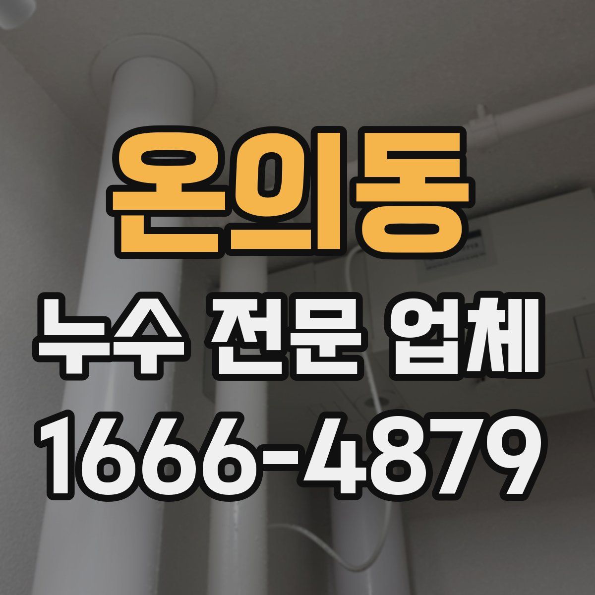온의동 누수 전문 업체