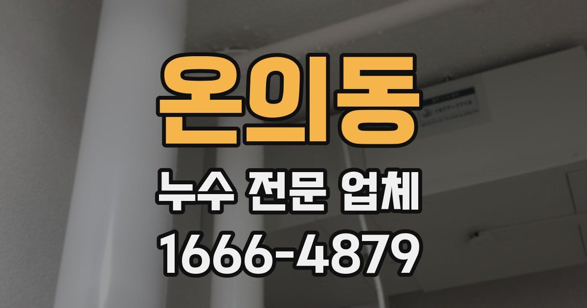 온의동 누수 전문 업체