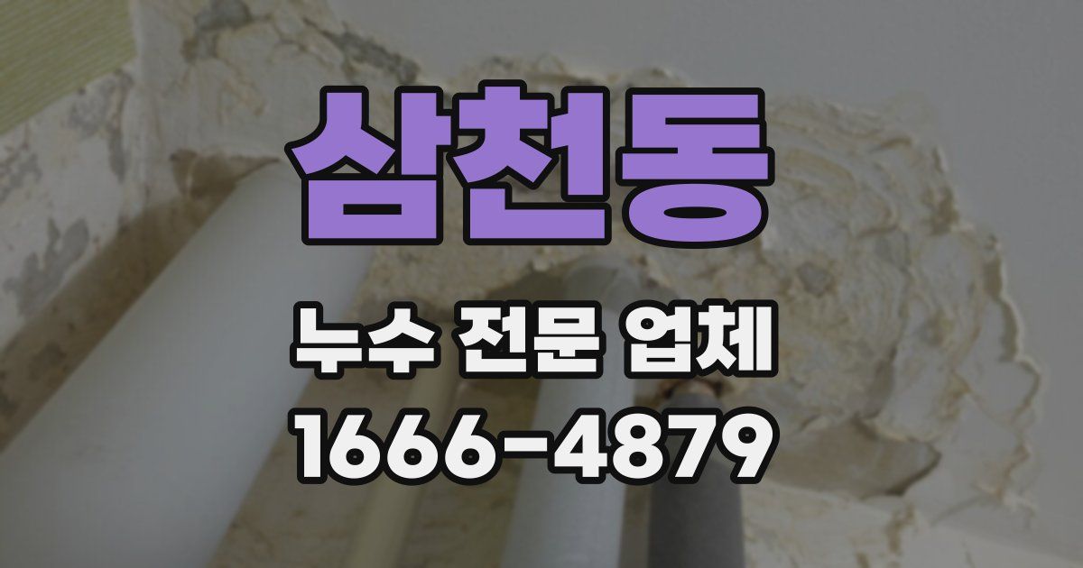 삼천동 누수 전문 업체