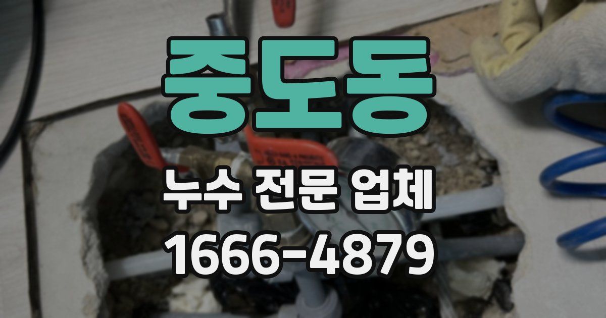 중도동 누수 전문 업체