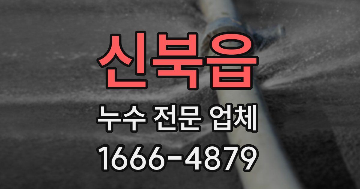 신북읍 누수 전문 업체