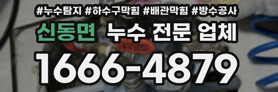 신동면 누수 전문 업체