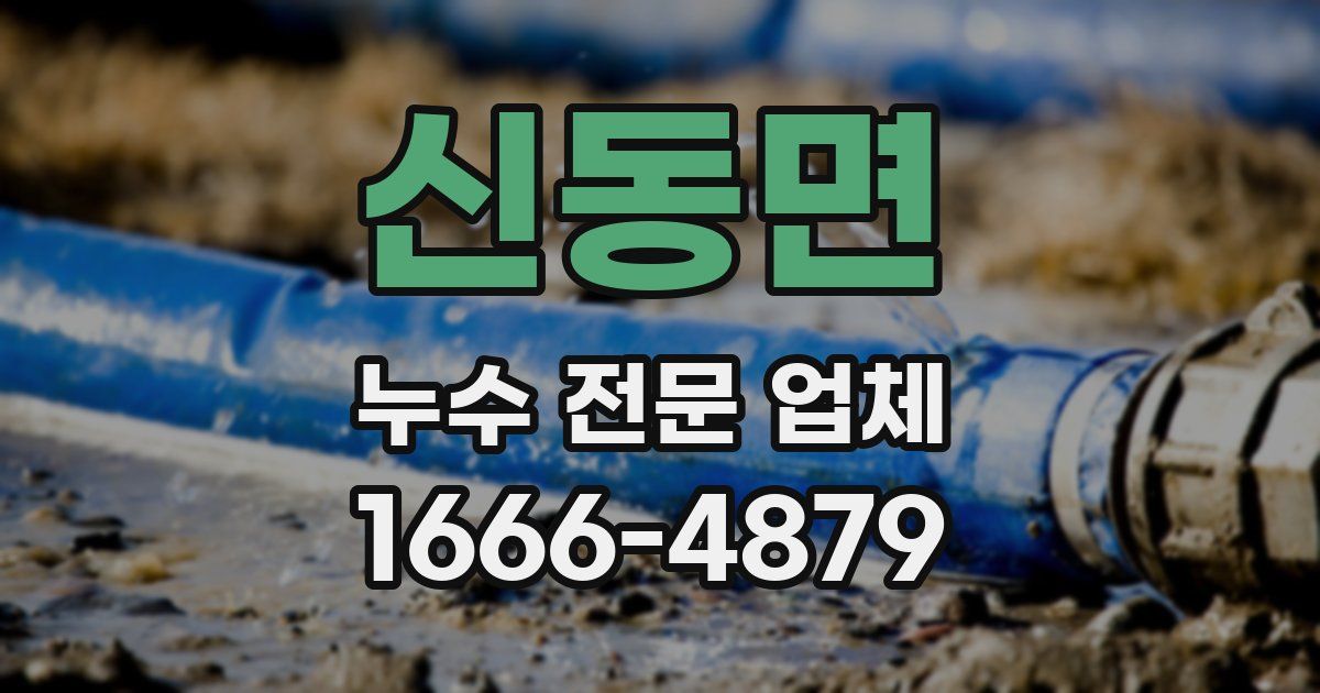 신동면 누수 전문 업체