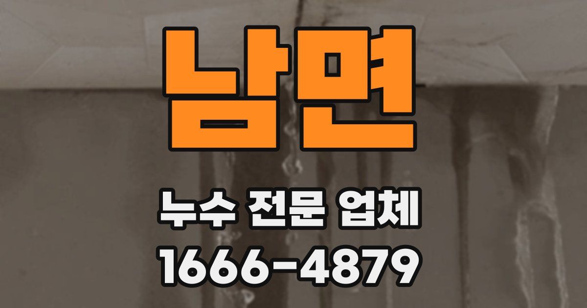 남면 누수 전문 업체