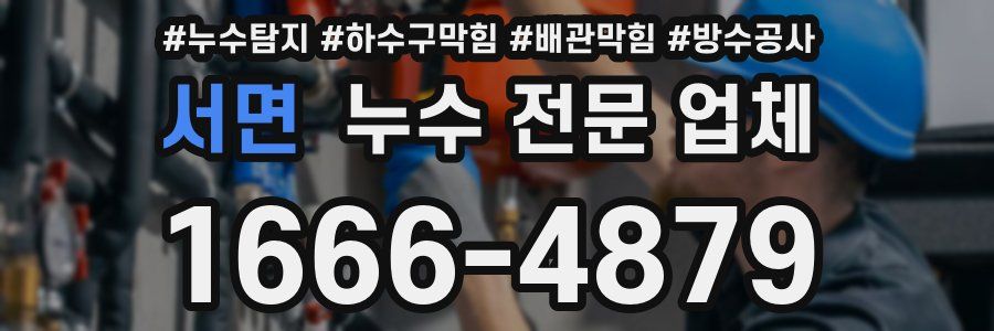 서면 누수 전문 업체