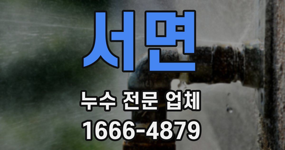 서면 누수 전문 업체