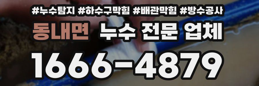 동내면 누수 전문 업체