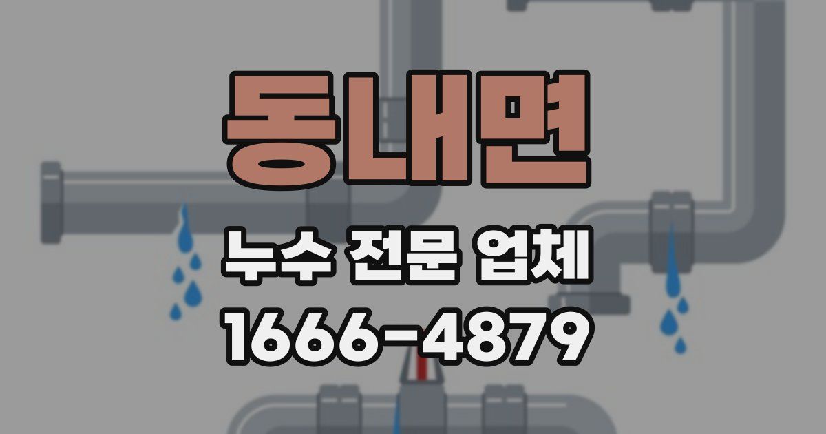동내면 누수 전문 업체