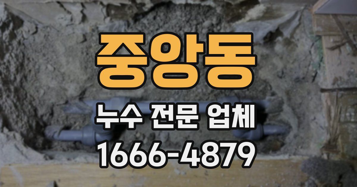 중앙동 누수 전문 업체