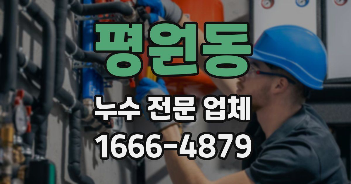평원동 누수 전문 업체