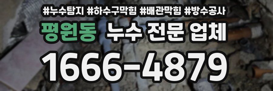 평원동 누수 전문 업체