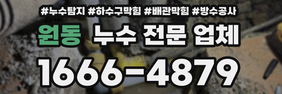 원동 누수 전문 업체