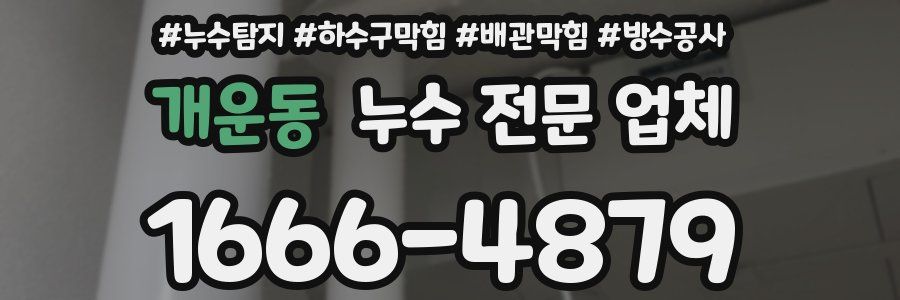 개운동 누수 전문 업체