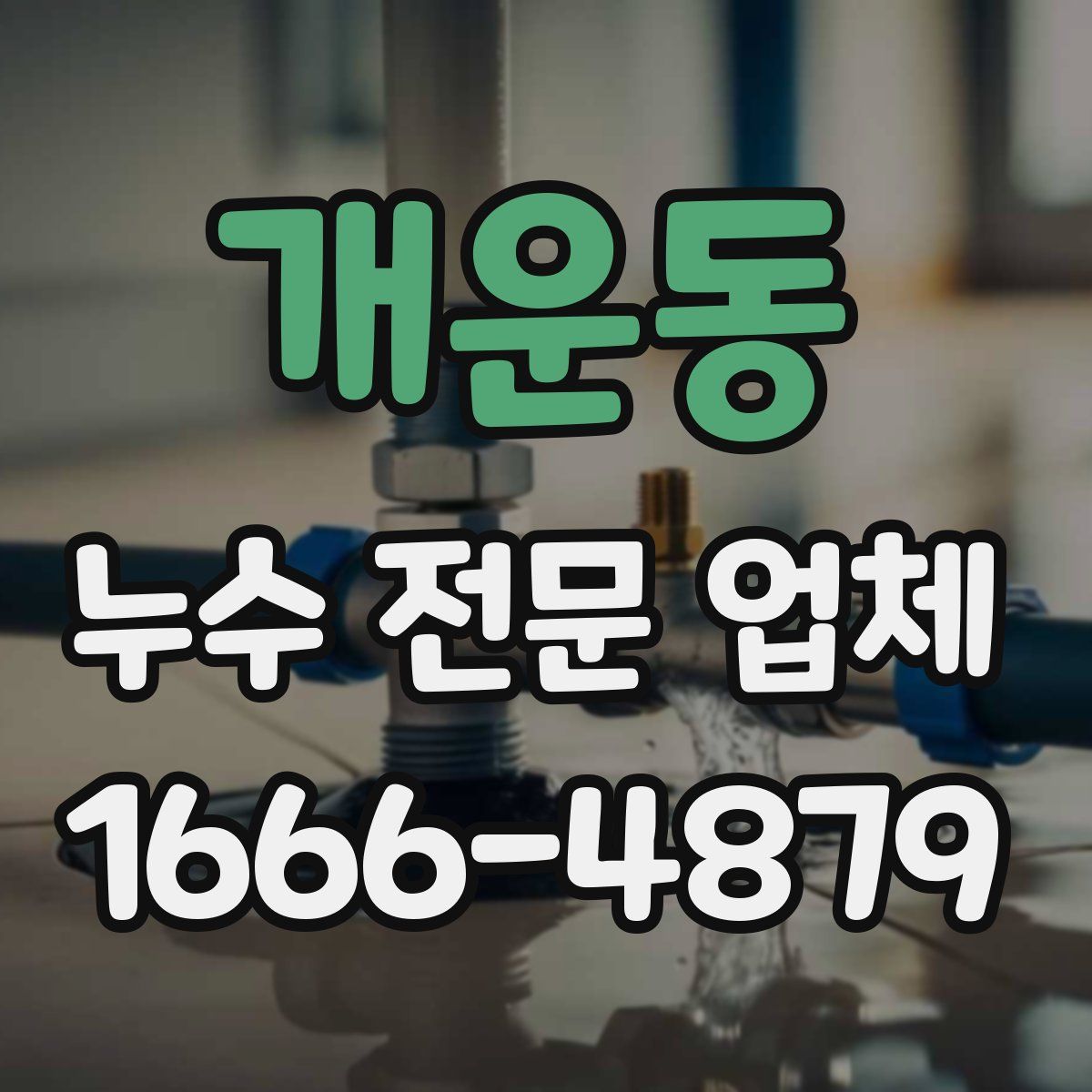 개운동 누수 전문 업체