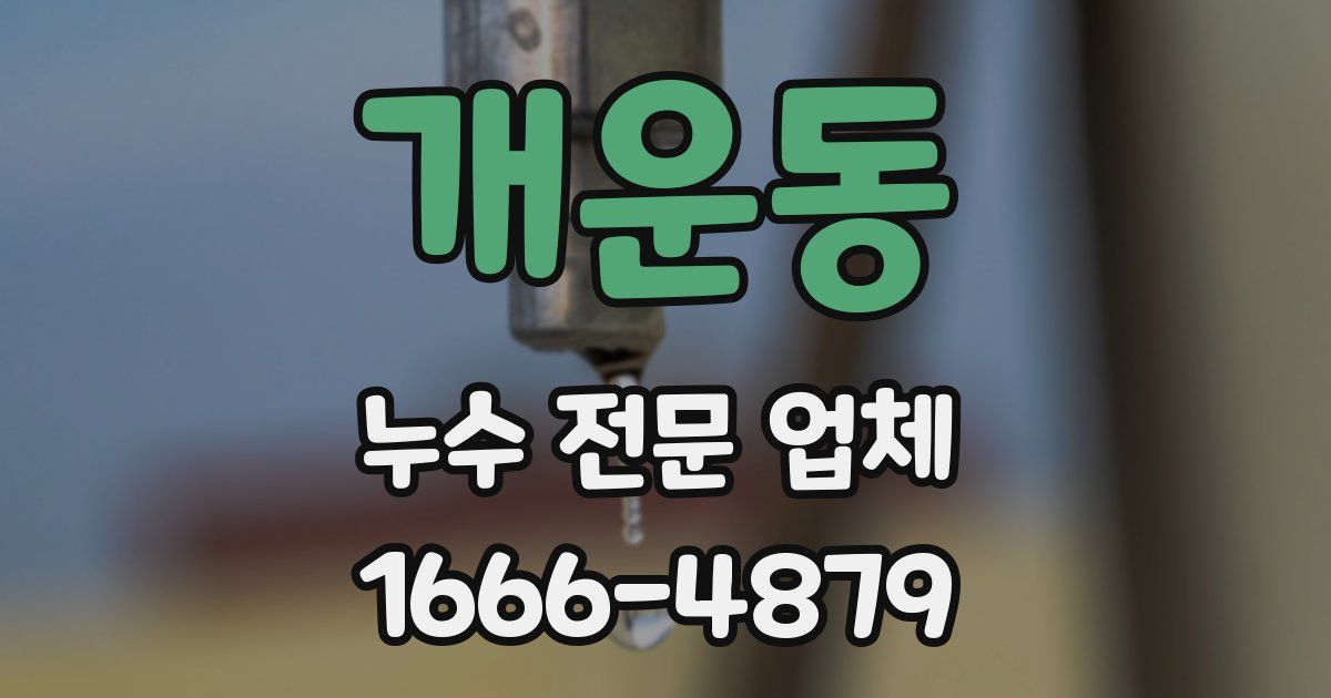 개운동 누수 전문 업체