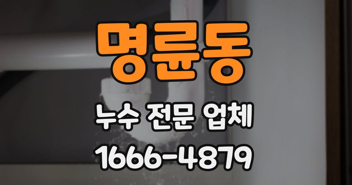 명륜동 누수 전문 업체