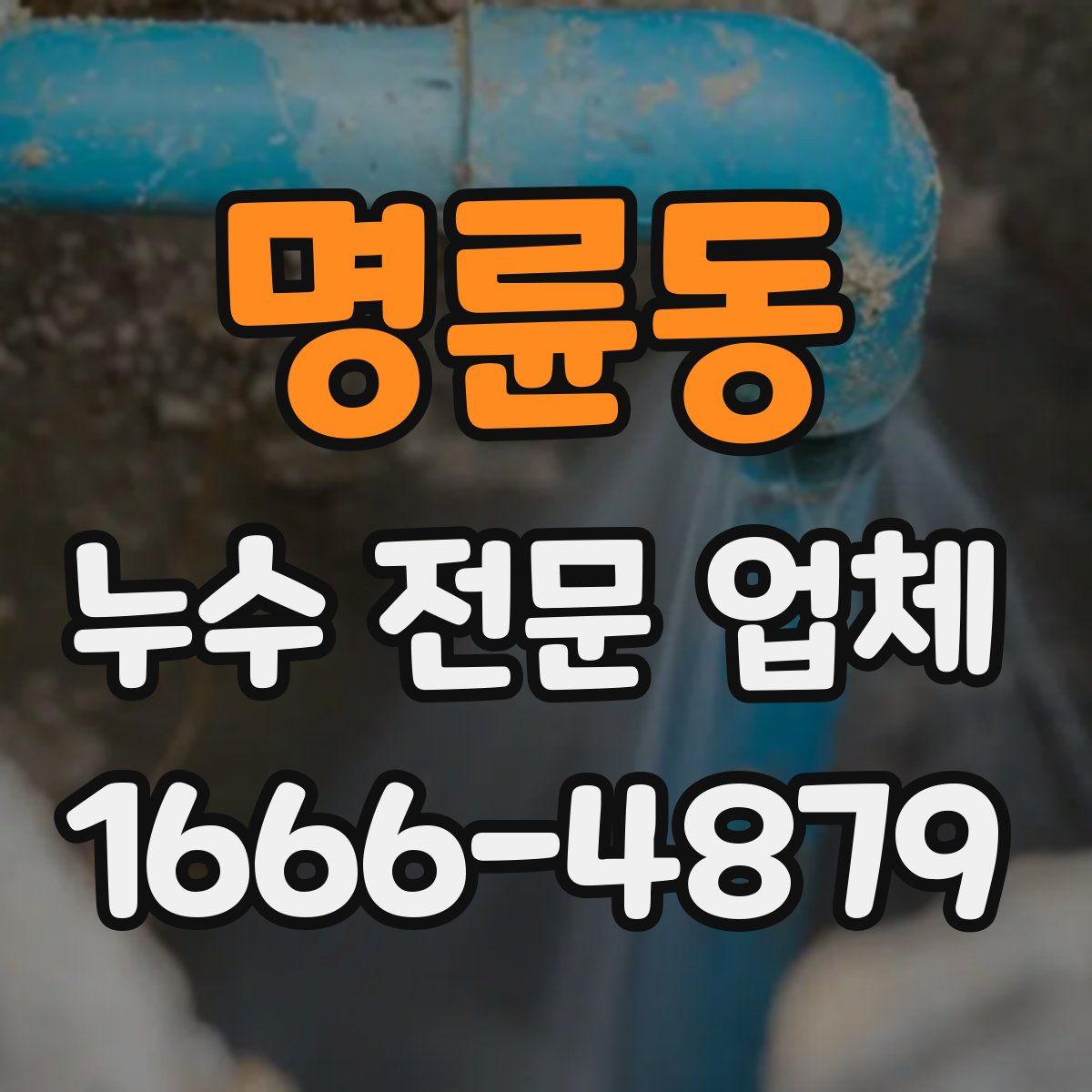 명륜동 누수 전문 업체
