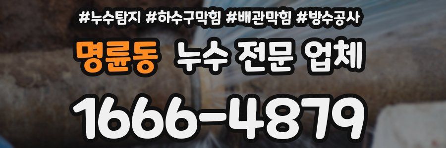 명륜동 누수 전문 업체