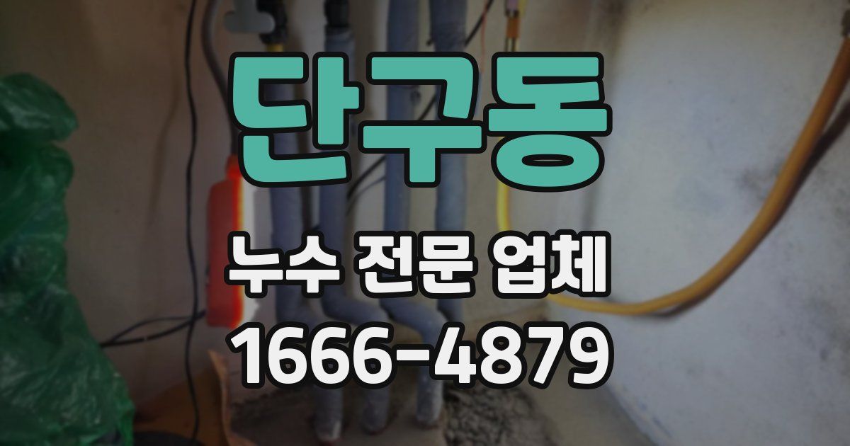 단구동 누수 전문 업체