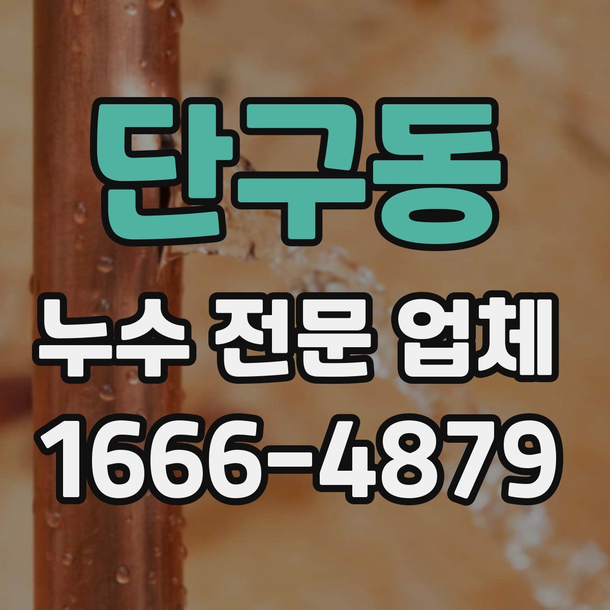 단구동 누수 전문 업체
