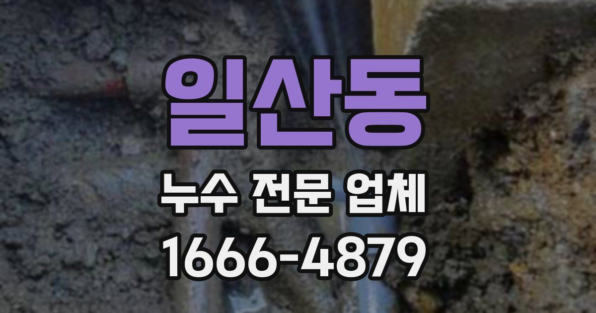 일산동 누수 전문 업체