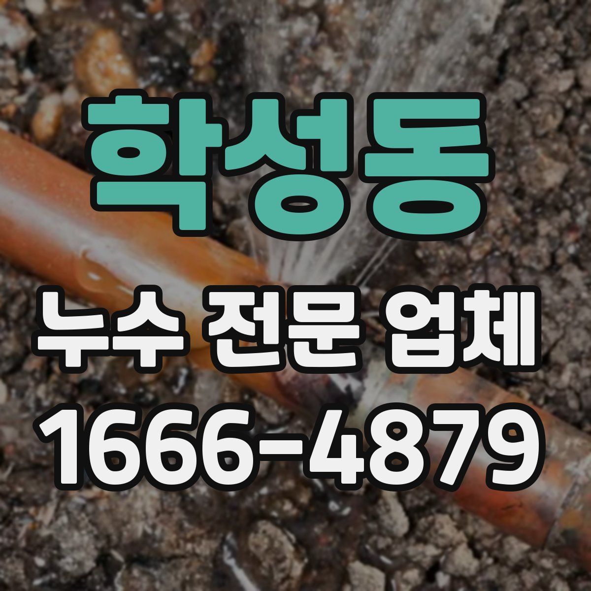 학성동 누수 전문 업체