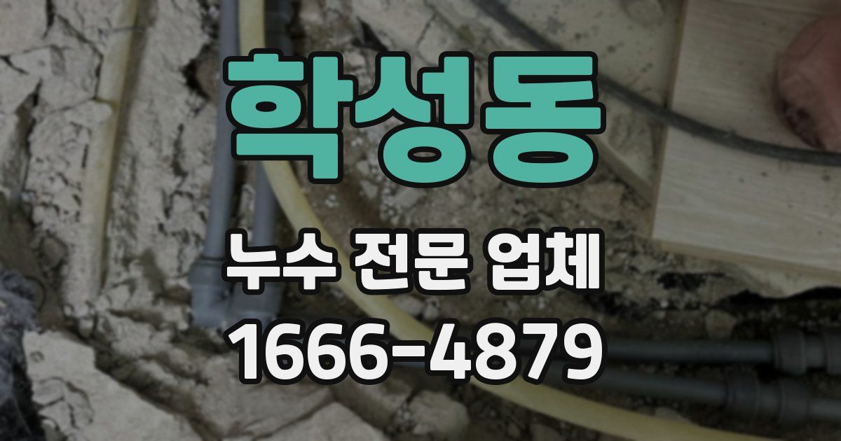 학성동 누수 전문 업체