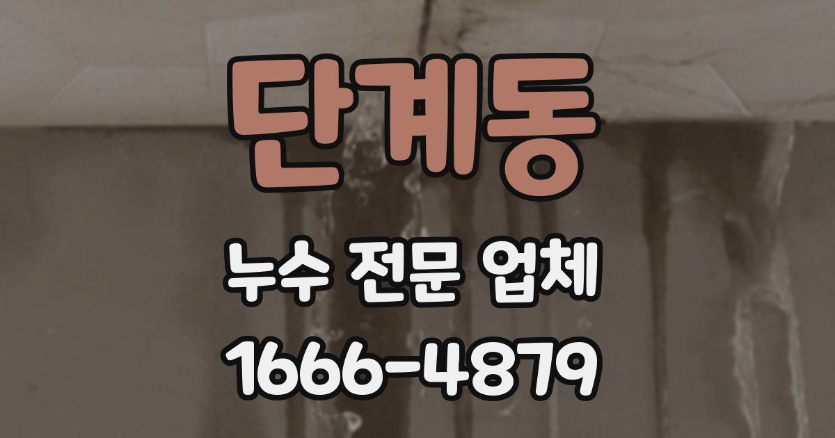 단계동 누수 전문 업체