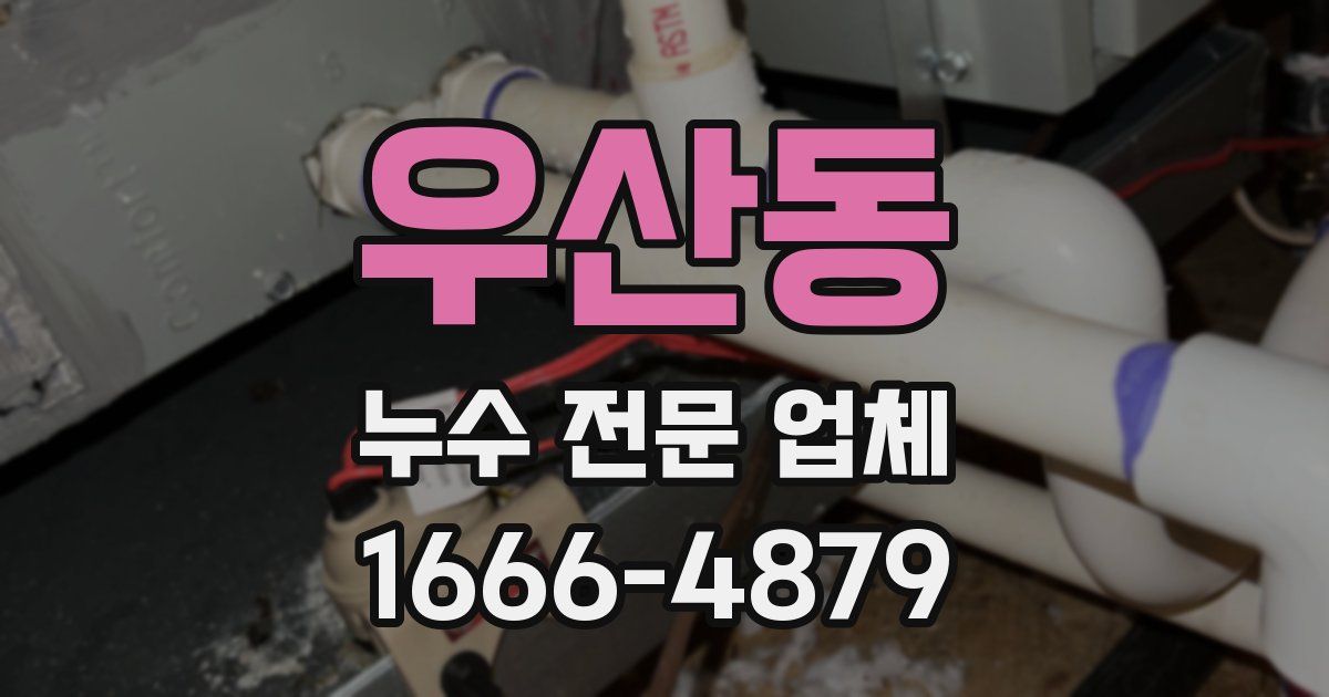 우산동 누수 전문 업체