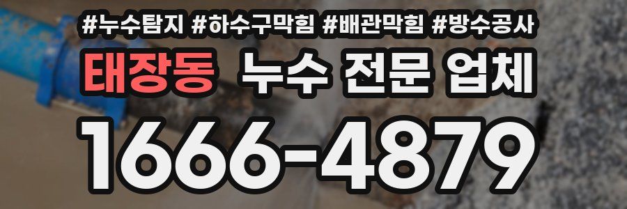 태장동 누수 전문 업체