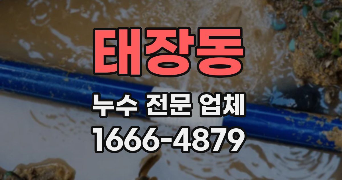 태장동 누수 전문 업체