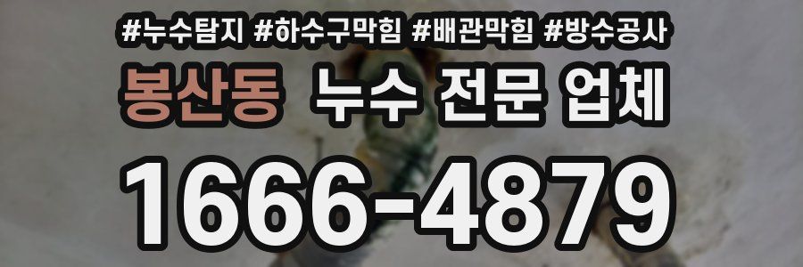 봉산동 누수 전문 업체